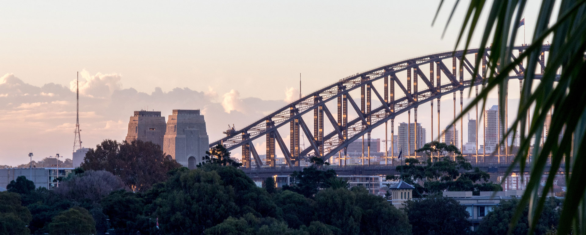 Contact White Card People